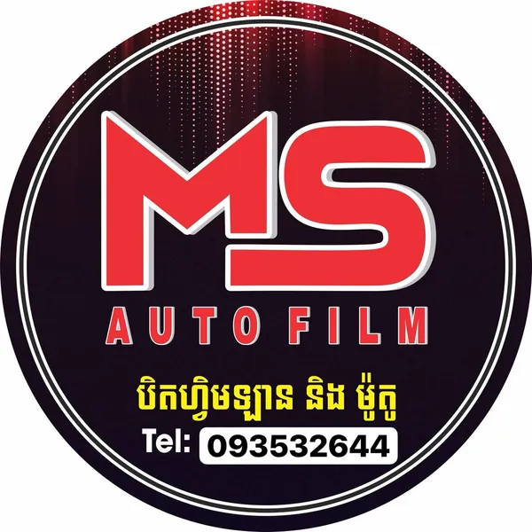 ms-auto-film_result